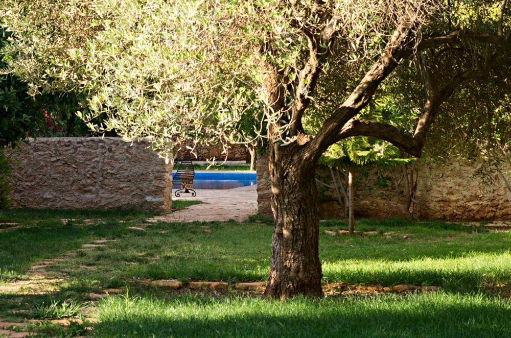 Ryad De Vignes " Le Val D'Argan " Ounara ภายนอก รูปภาพ