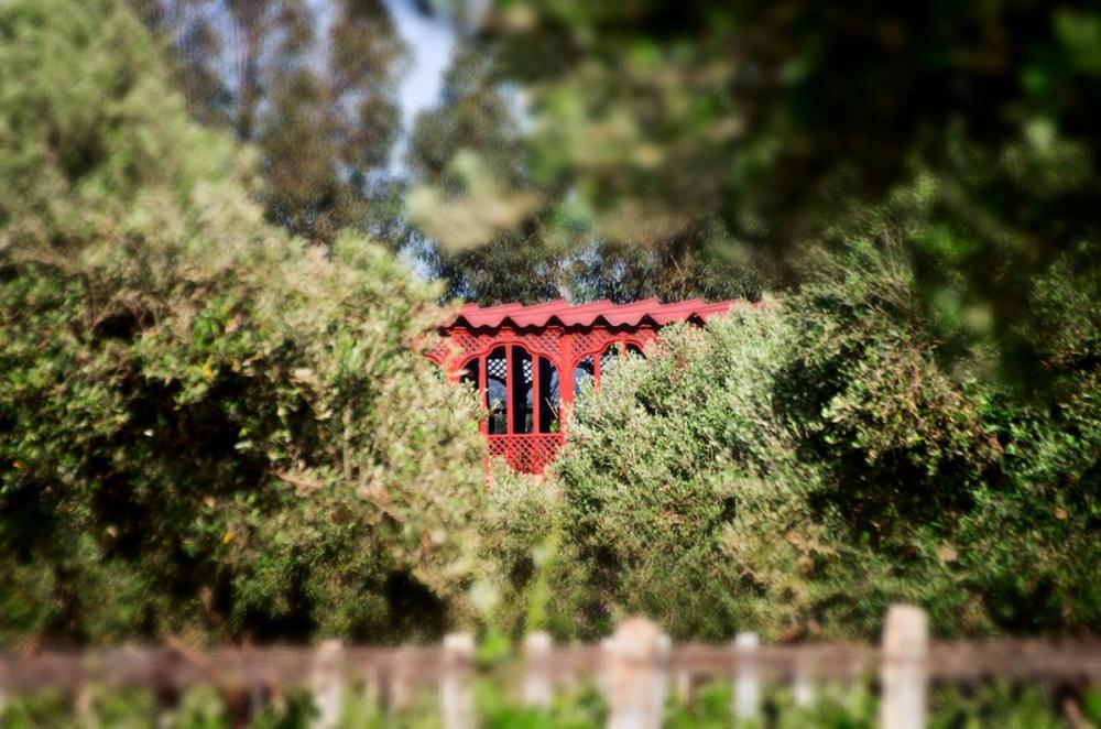 Ryad De Vignes " Le Val D'Argan " Ounara ภายนอก รูปภาพ