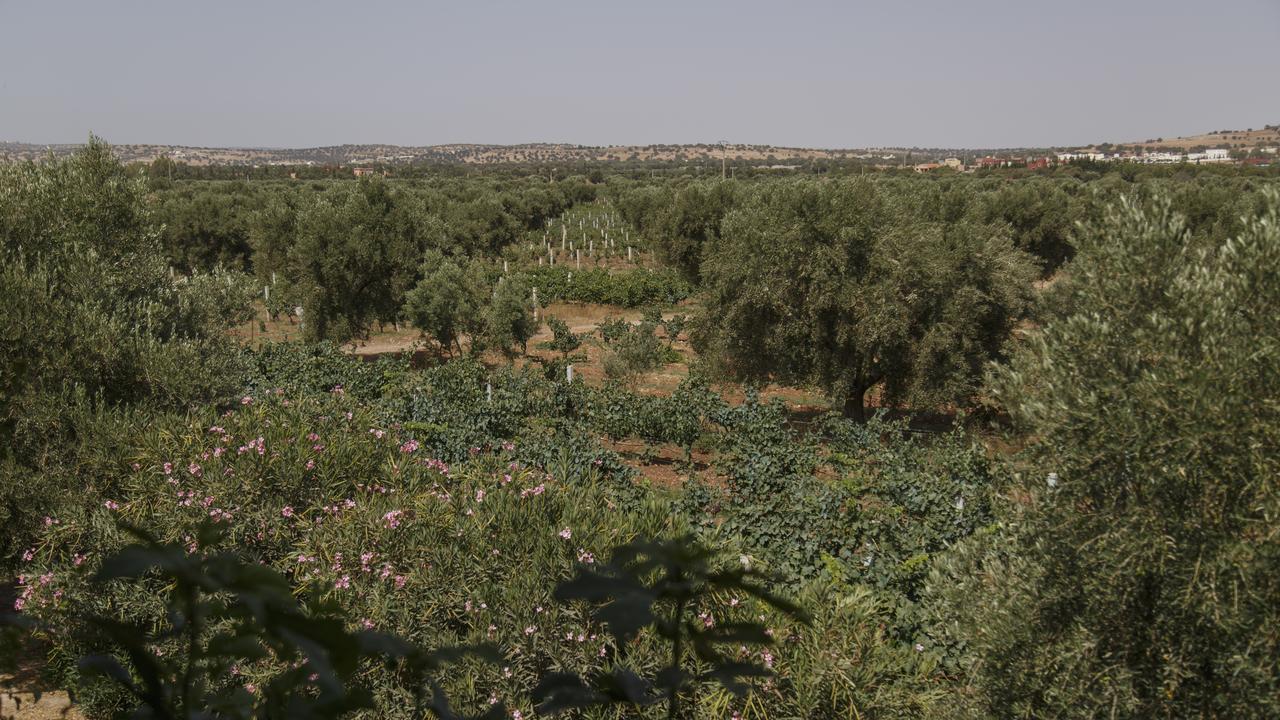 Ryad De Vignes " Le Val D'Argan " Ounara ภายนอก รูปภาพ